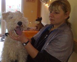 Hundesalon Benni